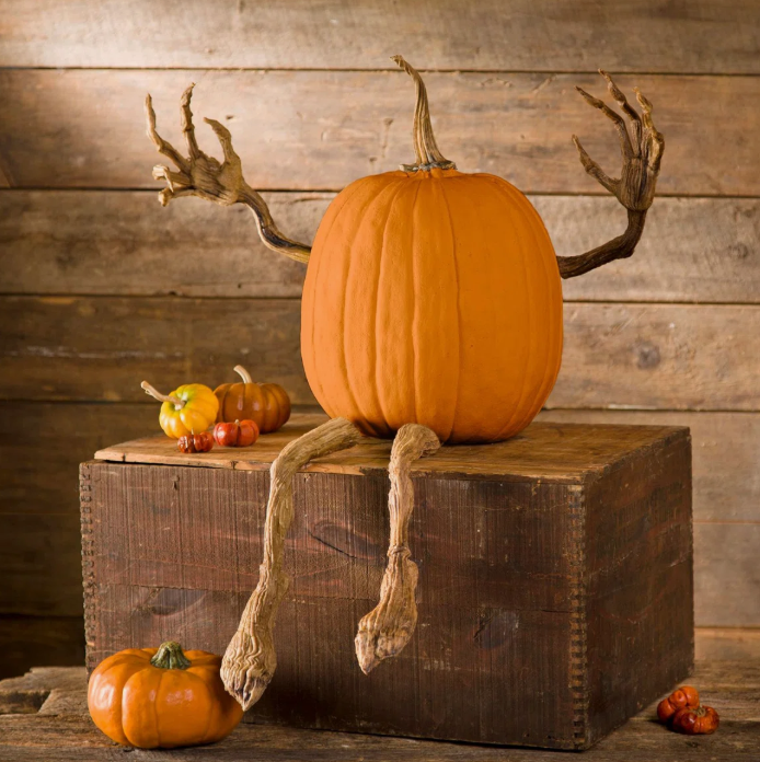 Plow Hearth Posable Pumpkin Vine Arms And Legs Set Includes 4 Pieces Plhe2224