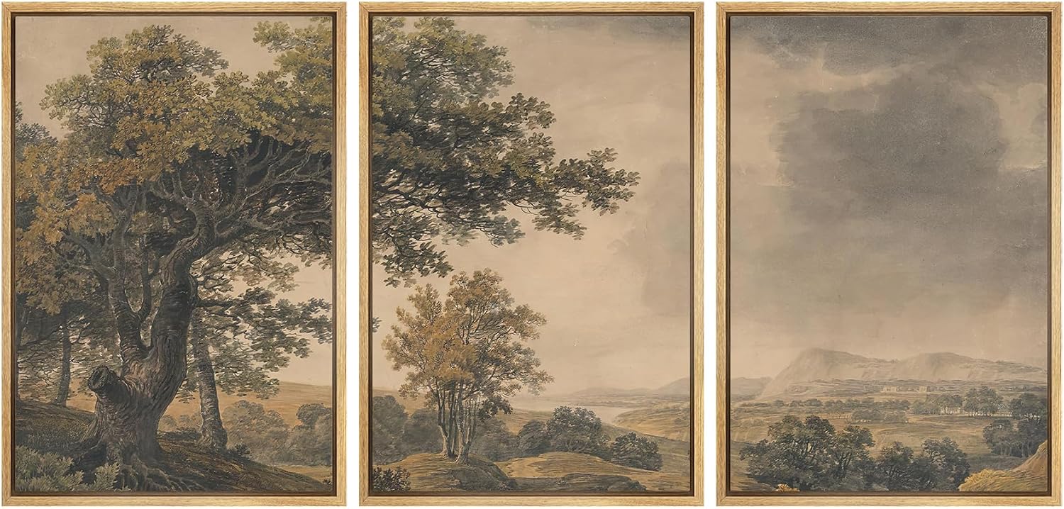 Amazon.com: MUDECOR Framed Wall Art Print Set Vintage Landscape Rustic Tree and Mountain View Illustrations Decorative Colorful for Living Room, Bedroom, Office - 24"x36"x3 Natural: Posters & Prints