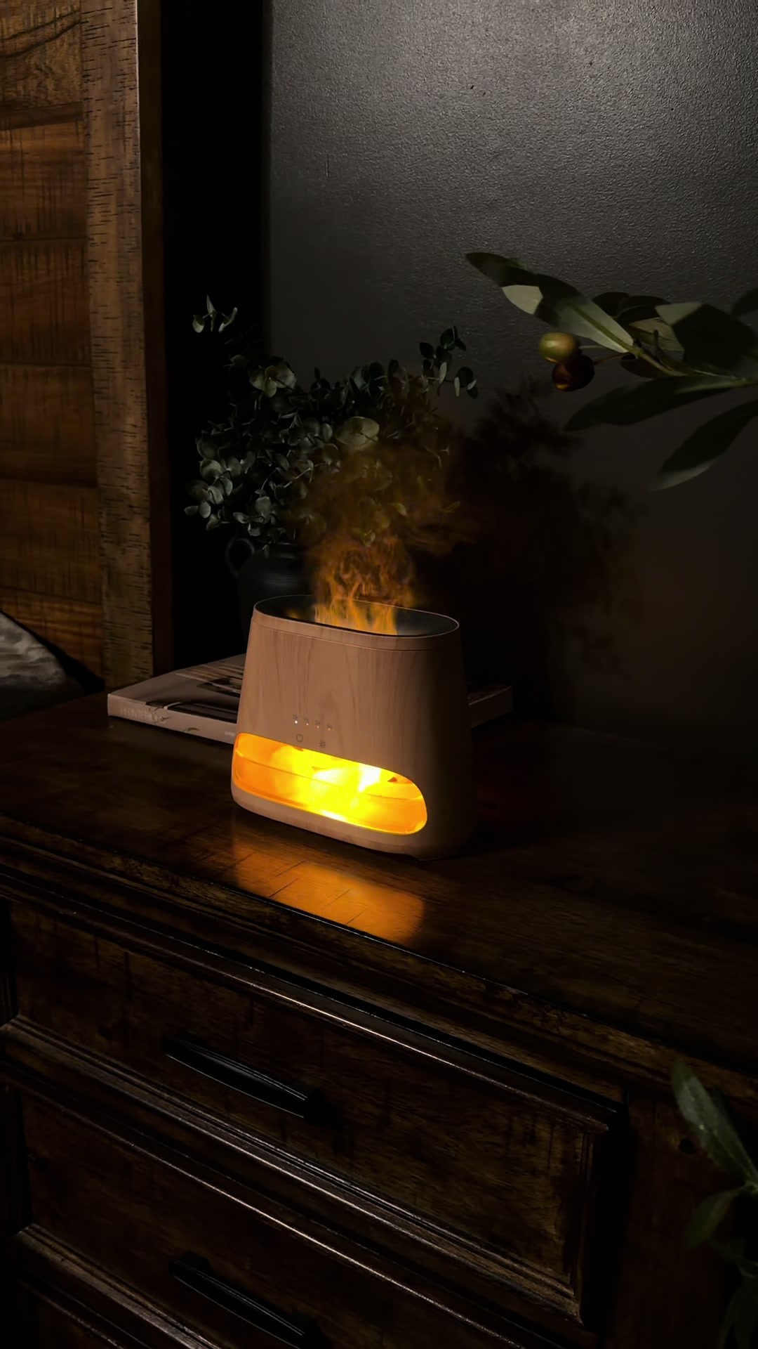 Fire Diffuser Amazon 
